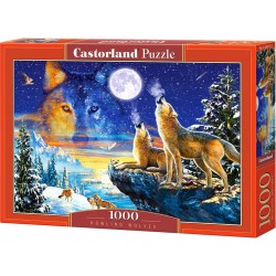 Castorland - Puzzle 1000...