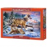 Castorland - Puzzle 500 pièces - Loups dans la neige