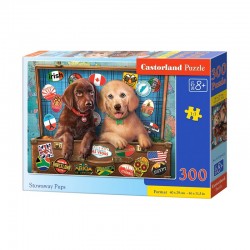 Castorland - Puzzle 300...