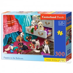 Castorland - Puzzle 300...