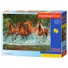 Castorland - Puzzle 300 pièces - Course dans la cascade