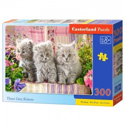 Castorland - Puzzle 300...