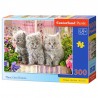 Castorland - Puzzle 300 pièces - Trois chatons gris