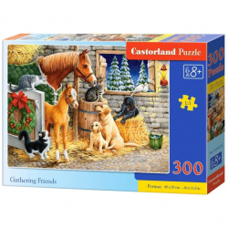 Castorland - Puzzle 300...