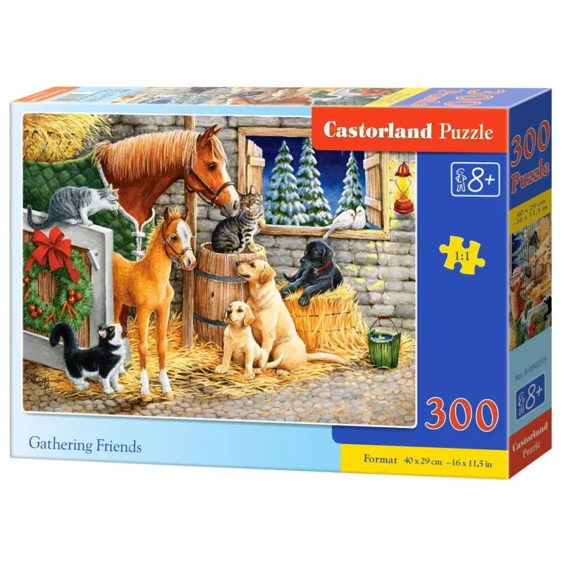 Castorland - Puzzle 300 pièces - Amis réunis