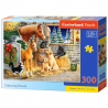 Castorland - Puzzle 300 pièces - Amis réunis