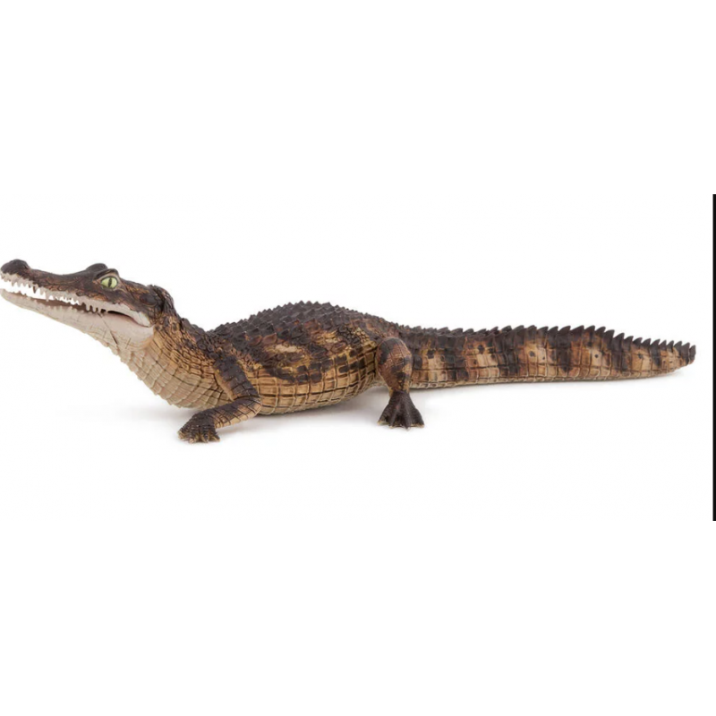 Papo - Figurine - 50311 - La vie sauvage - Caiman