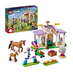 Lego - 41476 - Friends - Le...