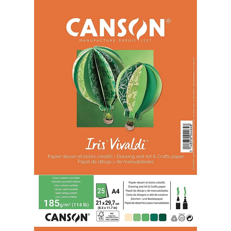 Canson - Beaux arts - Papier dessin et loisirs créatifs - 25 feuilles lisses - A4 - Tons verts