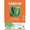 Canson - Beaux arts - Papier dessin et loisirs créatifs - 25 feuilles lisses - A4 - Tons verts