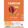 Canson - Beaux arts - Papier dessin et loisirs créatifs - 25 feuilles lisses - A4 - Tons automne