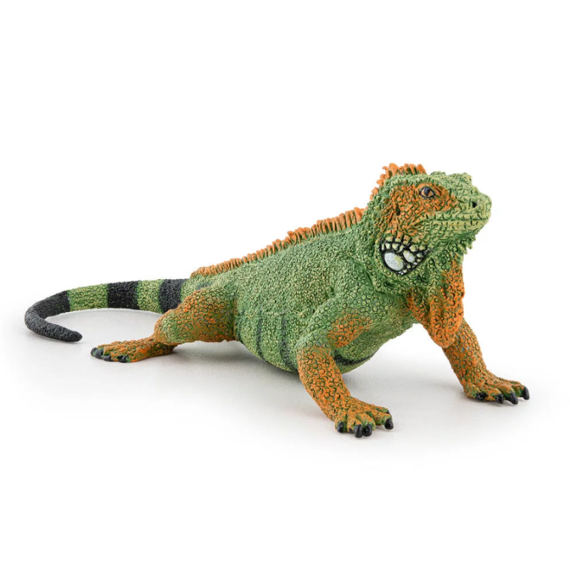 Papo - 50306 - Figurine - Iguane