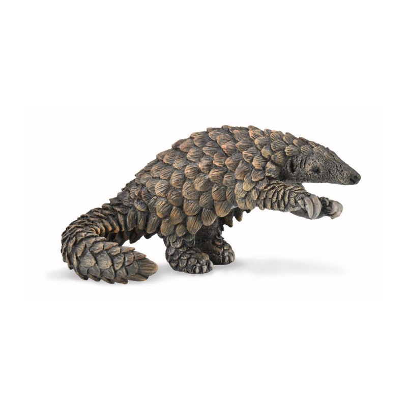 Collecta - Figurine de collection - Pangolin