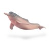 Collecta - Figurine de collection - Dauphin du fleuve Amazon