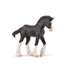 Collecta - Figurine de collection - Poulain Clydesdale noir