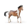 Collecta - Figurine de collection - Etalon Mustang Bay Pintoloosa XXL