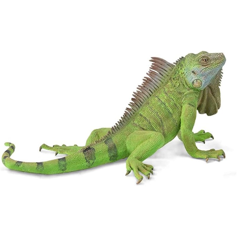 Collecta - Figurine de collection - Iguane vert XL