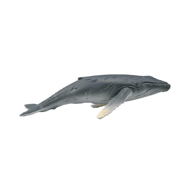 Collecta - Figurine de collection - Baleine à bosse 10.5cm