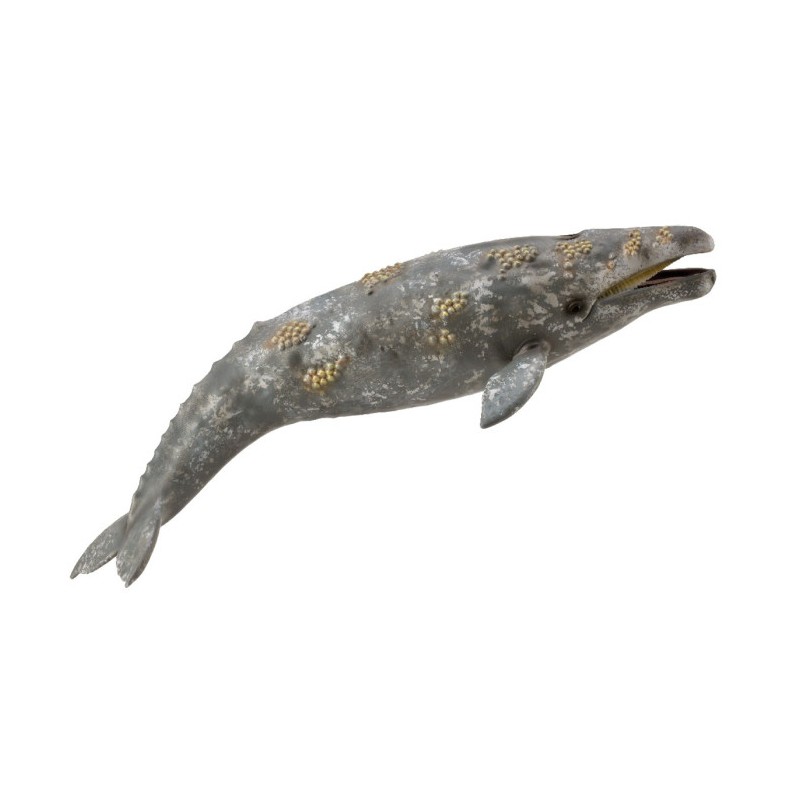 Collecta - Figurine de collection - Baleine grise 23cm