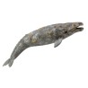 Collecta - Figurine de collection - Baleine grise 23cm