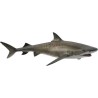 Collecta - Figurine de collection - Requin tigre