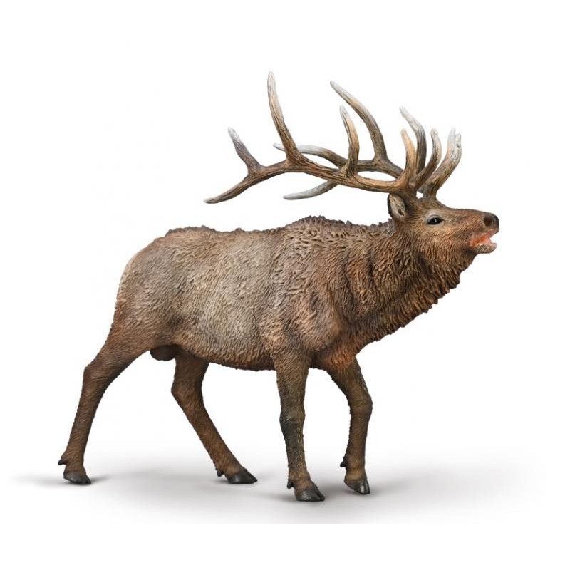 Collecta - Figurine de collection - Wapiti