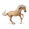 Collecta - Figurine de collection - Etalon Lusitano