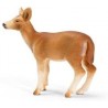 Schleich - 14254 - Figurine - Animaux - Biche De Virginie