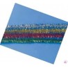 Rayher - Blister de 24 filins chenille brillant - Couleurs assorties - 9 mm x 30 cm