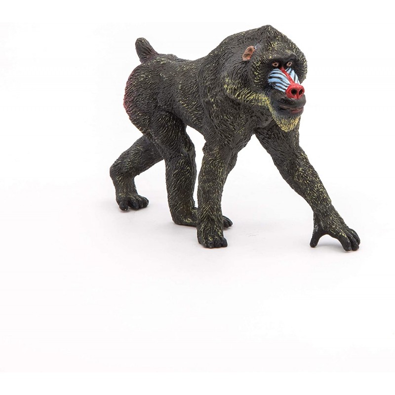 Papo - Figurine - 50121 - La vie sauvage - Mandrill