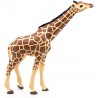 Papo - Figurine - 50236 - La vie sauvage - Girafe tête levée