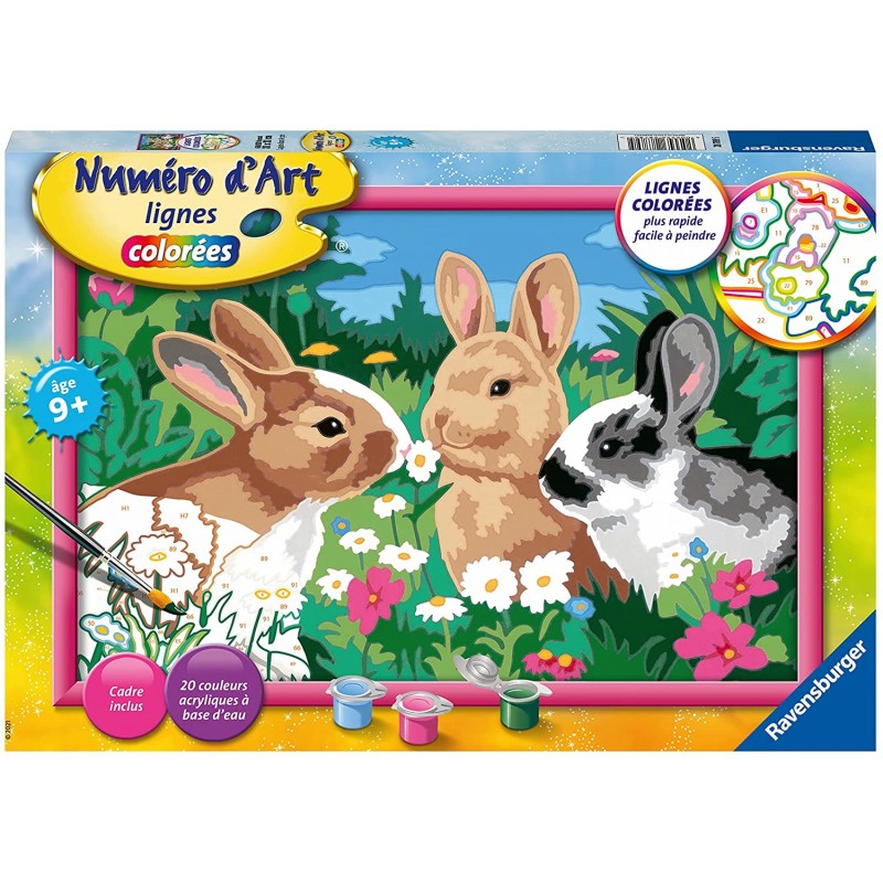 Ravensburger - Numéro d'art - 31x21cm - Lapins dans le pré