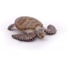 Papo - Figurine - 56005 - L'univers marin - Tortue caouanne